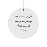 Pilot Gifts from Friends, Christmas Unique Circle Ornament with Quote 'This Is What An Awesome Pilot Looks Like', Perfect for Men, Women, Co-workers, and Family - Image 1